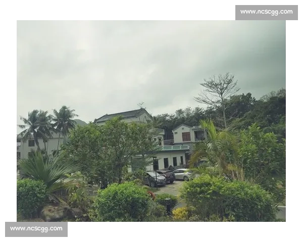 突发变数引发全局应对策略与风险管控新思路探索