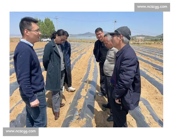 体育赛事突发风险治理与多方协同应急响应体系创新优化路径研究