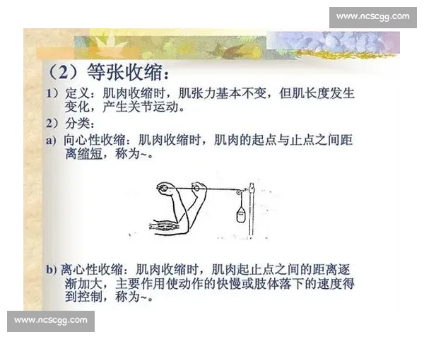 围绕肌肉耐力提升的系统训练方法与恢复策略全面解析与实践指南性